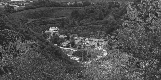Collina 1948